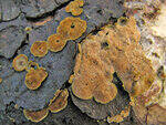 0_8bb67_53b266c6_S.jpg