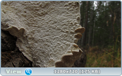 0_f4d52_285f48e9_orig.png