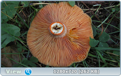0_fba26_14197963_orig.png