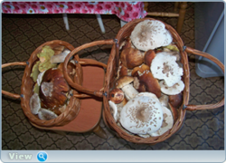 0_f3e65_46b7d712_orig.png