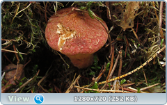 0_eaab8_325fe6e3_orig.png