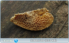 0_10201c_53e3b93_orig.png