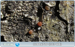 0_1092b2_86db818d_orig.png