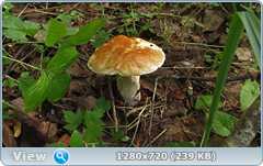 0_10ace2_cf7c2b8c_orig.png