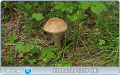 0_10ad04_544fe3a4_orig.png