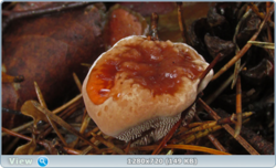0_110642_f06e416f_orig.png