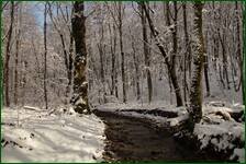 0_f181e_8449ba06_orig.jpg