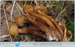 0_107407_c19da4b0_orig.png