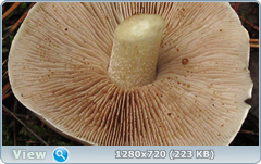 0_109660_954840ca_orig.png
