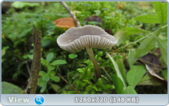 0_112b18_89724086_orig.png
