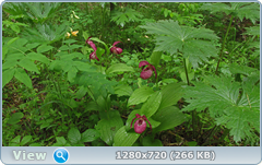 0_1086d6_5b122433_orig.png