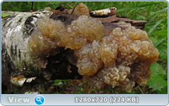 0_109715_1f583fc3_orig.png