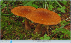 0_10ddb6_1a52fc1a_orig.png