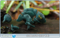 0_10dde6_55f23662_orig.png