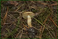 0_ea2c0_8eb1399c_orig.jpg