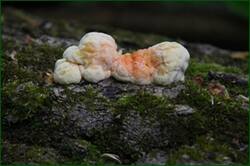 0_121607_725d6133_orig.jpg