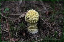 0_12828f_b0141352_orig.jpg