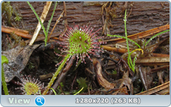 0_10a355_a57566d8_orig.png