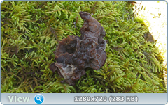 0_112ac3_2d5a162d_orig.png