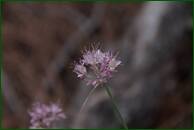 0_ef655_96b490be_orig.jpg