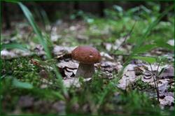 0_128297_8463ea25_orig.jpg
