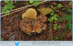 0_10aa13_d33fe78_orig.png