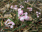 0_914b1_b3a022cd_S.jpg