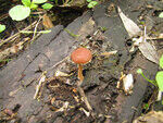 0_89e29_68275bc2_S.jpg