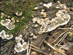 0_89e39_c7d695fb_S.jpg