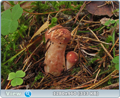 0_eafd1_947971d7_orig.png