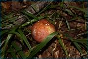 0_d23be_96b44738_orig.jpg