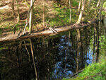 0_91484_6570b0d1_S.jpg