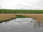 0_914a8_be064087_S.jpg