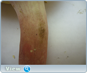 0_130555_ceded581_orig.png