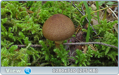 0_ec08b_98c0cd82_orig.png