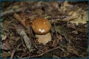 0_d2559_419a9eaf_orig.jpg