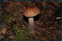 0_d4d46_fcc2c45e_orig.jpg