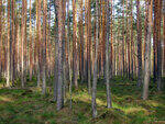 0_91483_89b12b65_S.jpg