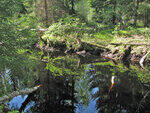 0_9148a_cf2e6dc6_S.jpg
