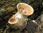 0_89e36_1ca929d1_S.jpg