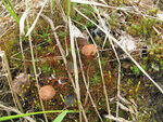 0_8bbd1_1857002c_S.jpg