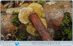 0_f6e42_b65d67b1_orig.png