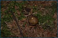 0_d4a65_20dc4330_orig.jpg