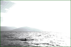 0_d9842_f3c02b18_orig.png