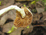 0_89e4a_2975177b_S.jpg