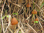 0_8bba4_2145546a_S.jpg