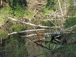 0_9149c_21837626_S.jpg