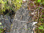 0_914cd_39ad9591_S.jpg