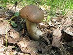 0_8c44b_49a956f6_S.jpg