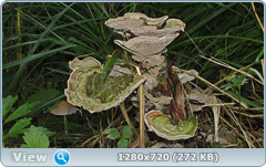 0_ea422_46588b3f_orig.png